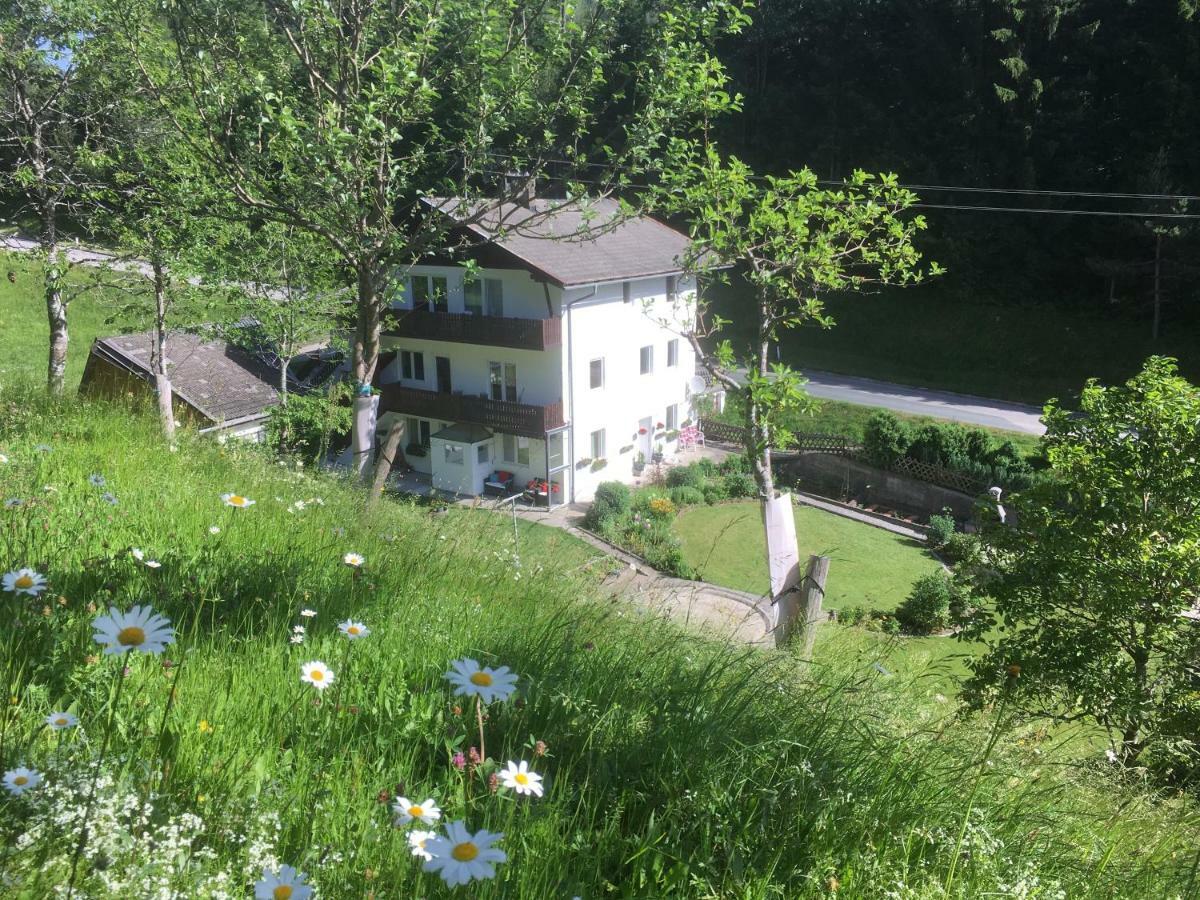 Ginnys Place Kotschach-Mauthen Dış mekan fotoğraf